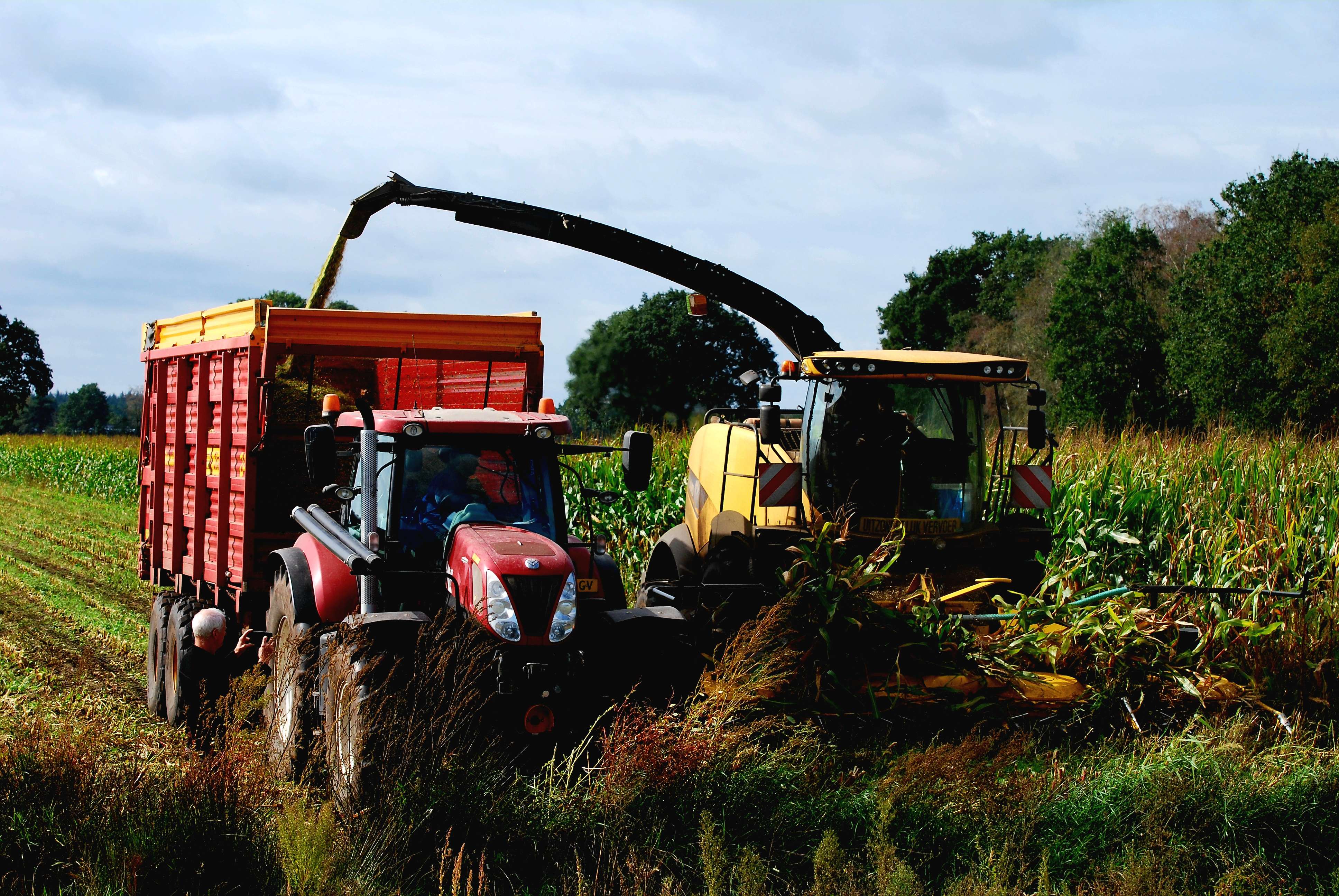 Boerderij
