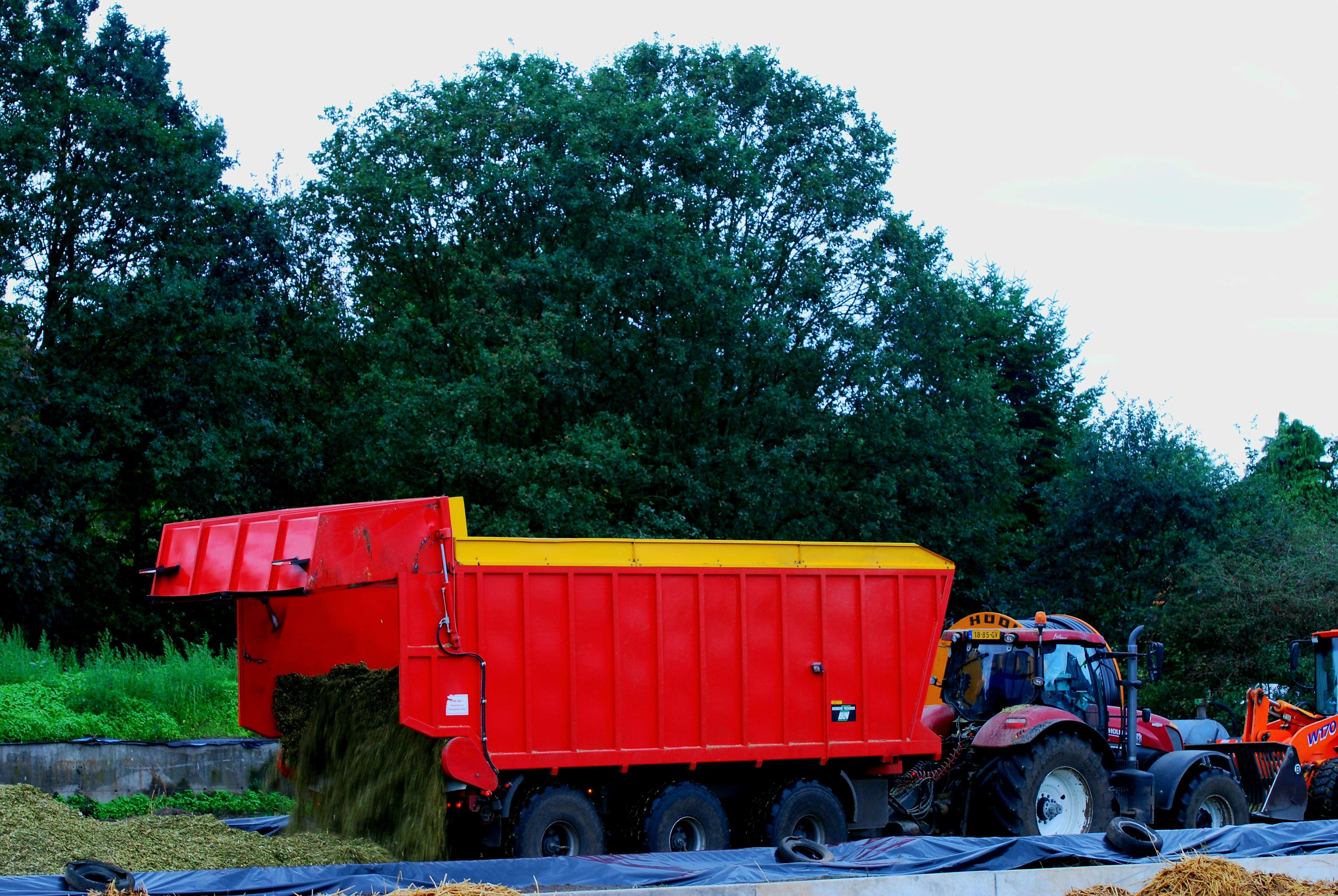 Boerderij