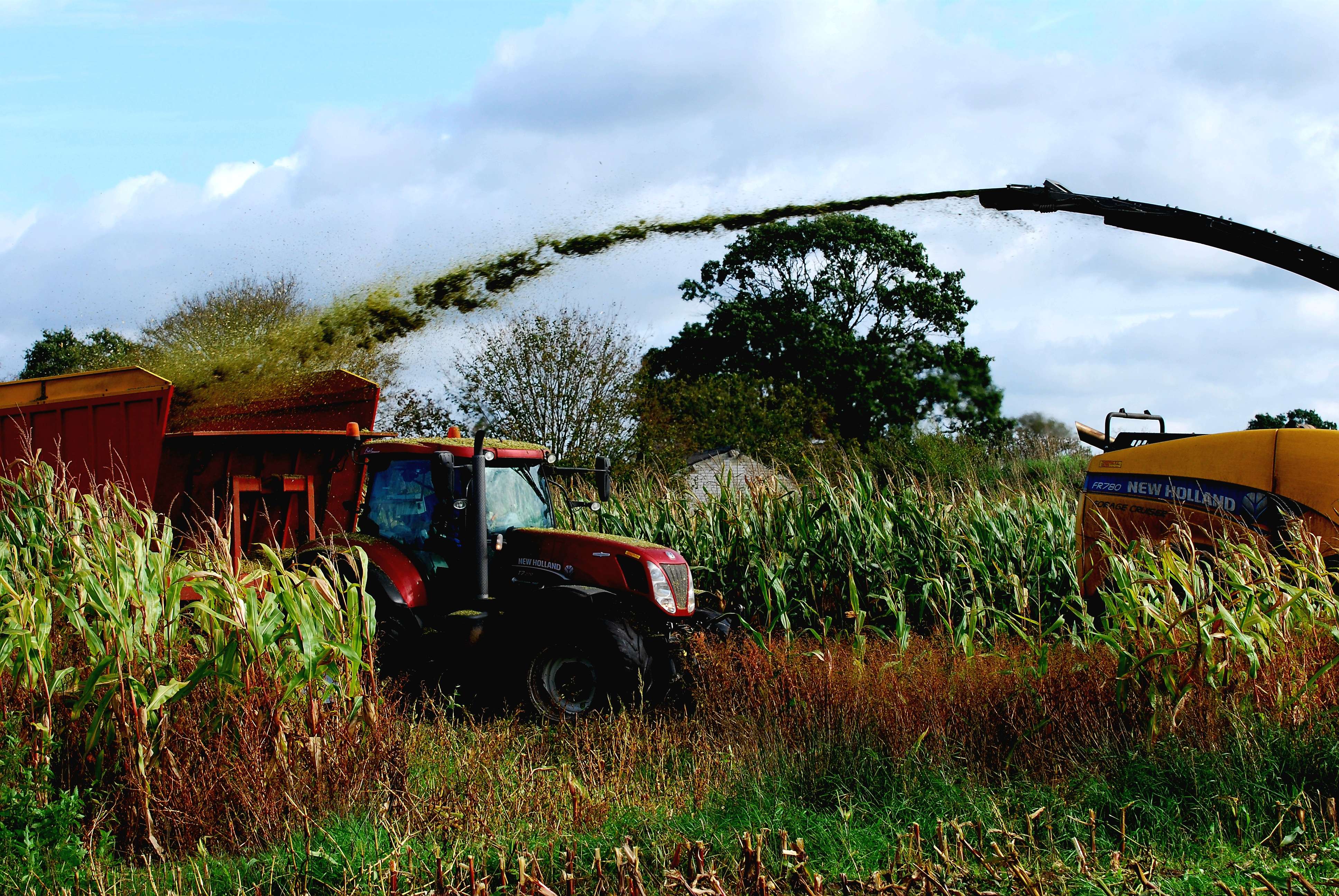 Boerderij