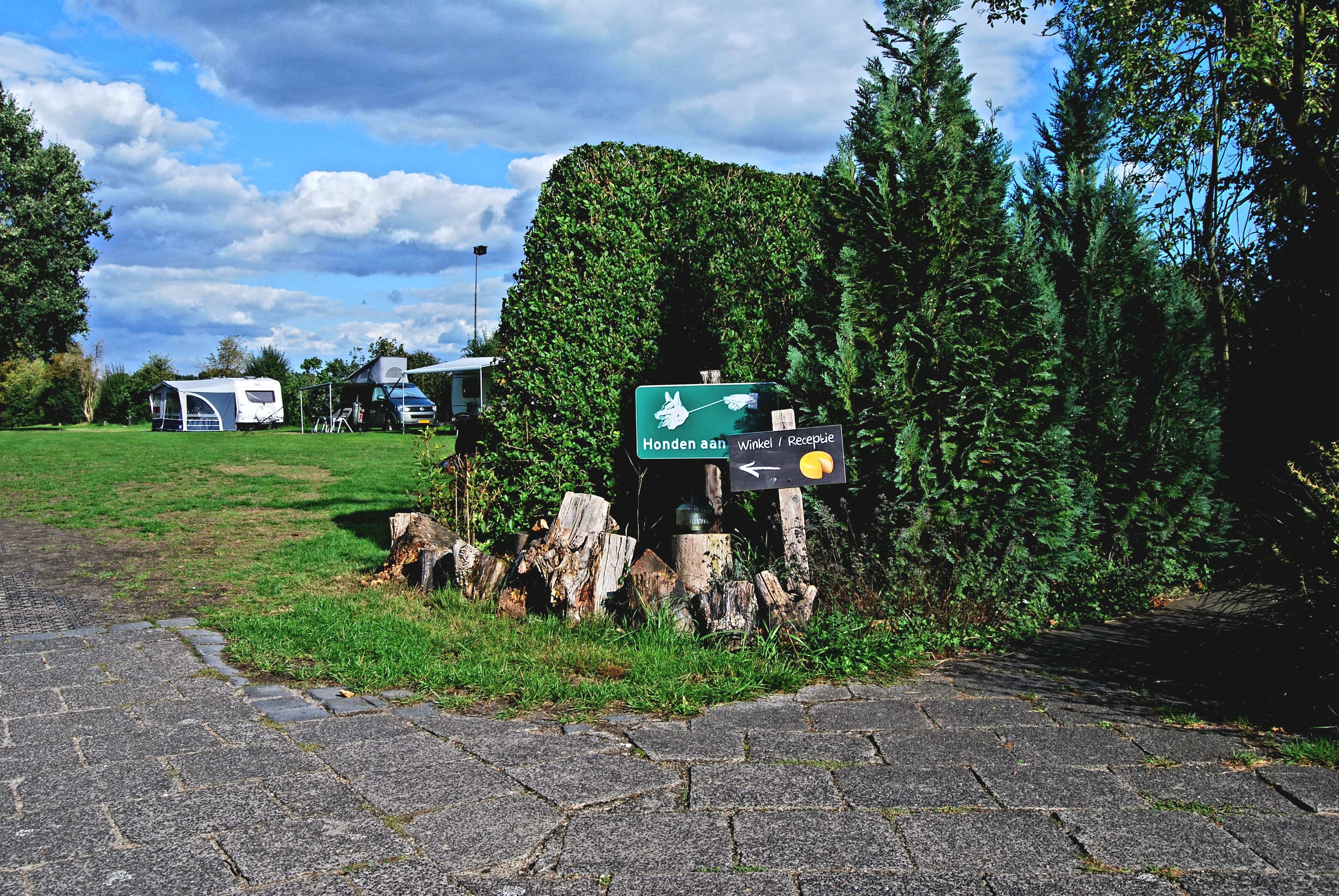 Camping