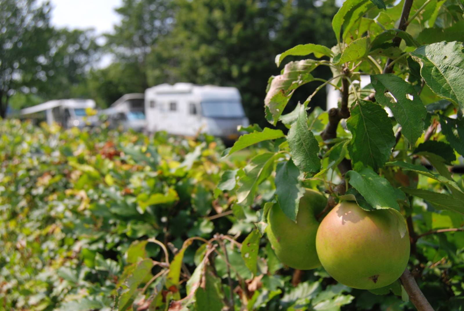 Camping De Hooiberg